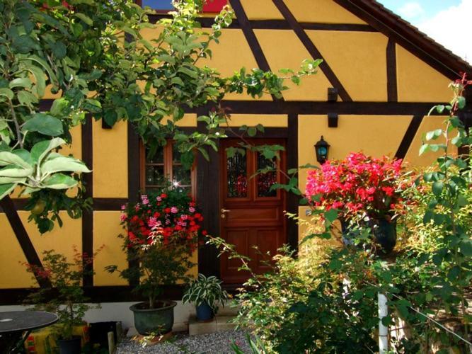 La Pomme De Pin Hotel Raedersdorf Exterior foto